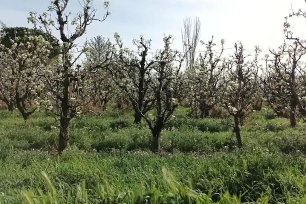 Nyaraló Finca Marina Turismo Rural Lleida